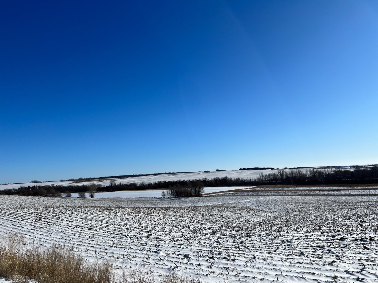 Image for Pope County - Brian & Laura Jergenson Land Auction