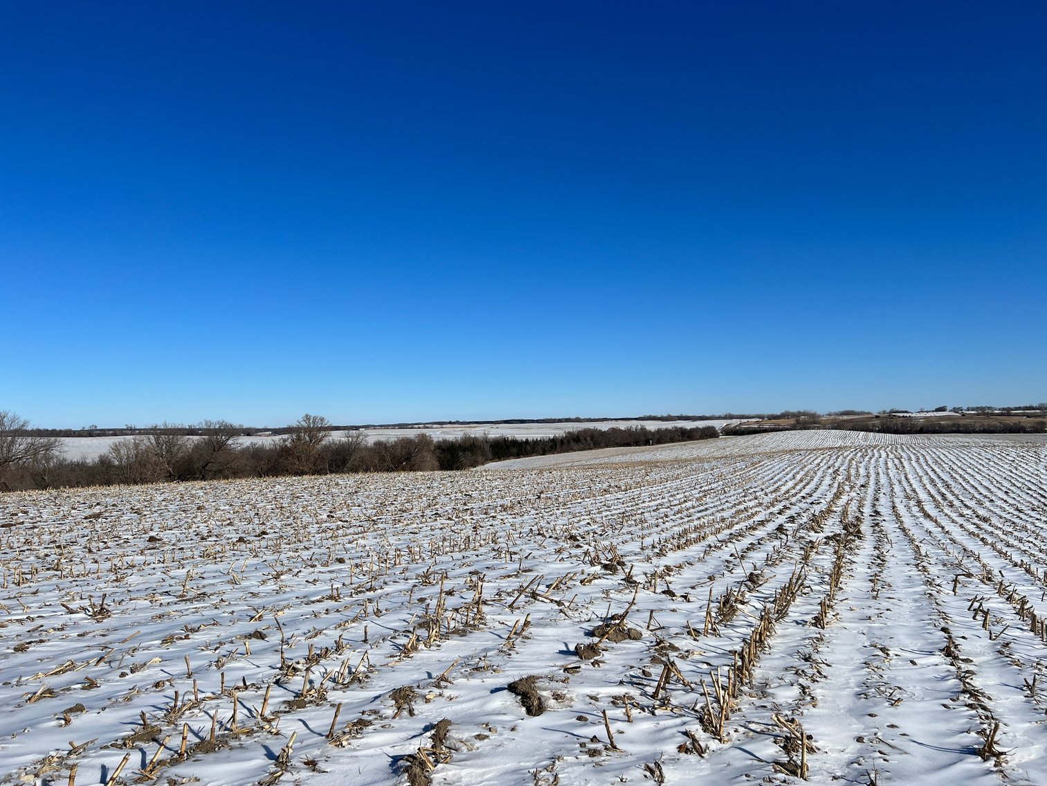 Image for Pope County - Brian & Laura Jergenson Land Auction