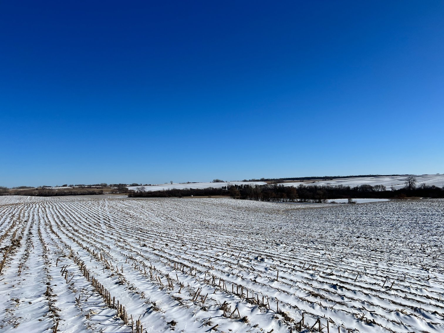Image for Pope County - Brian & Laura Jergenson Land Auction