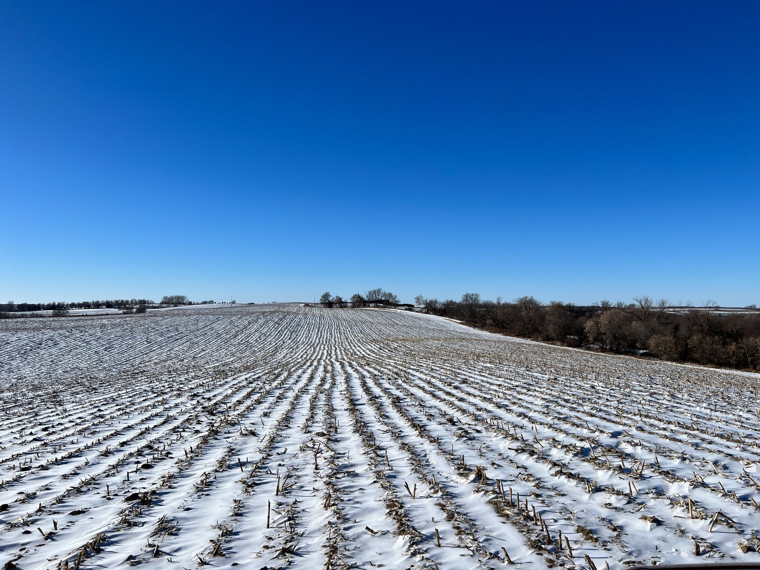 Image for Pope County - Brian & Laura Jergenson Land Auction