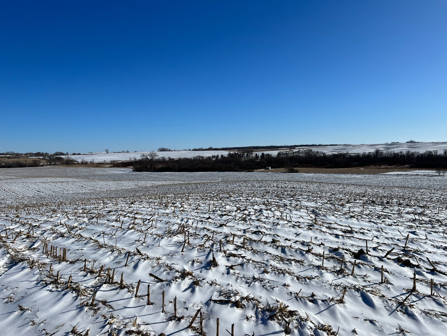 Image for Pope County - Brian & Laura Jergenson Land Auction