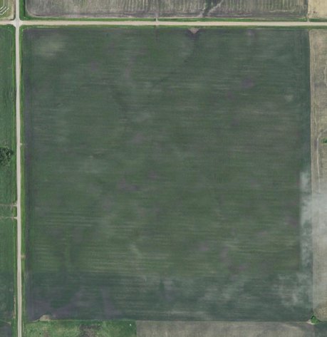 Image for ABSOLUTE Online Only Stevens County Farmland Auction