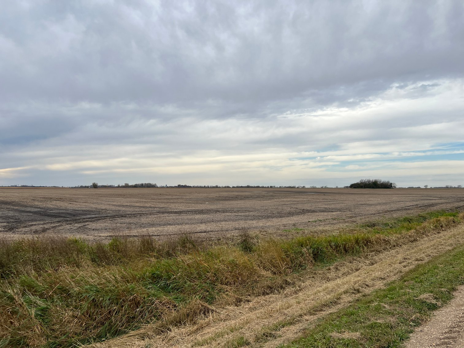 Image for ABSOLUTE Online Only Stevens County Farmland Auction