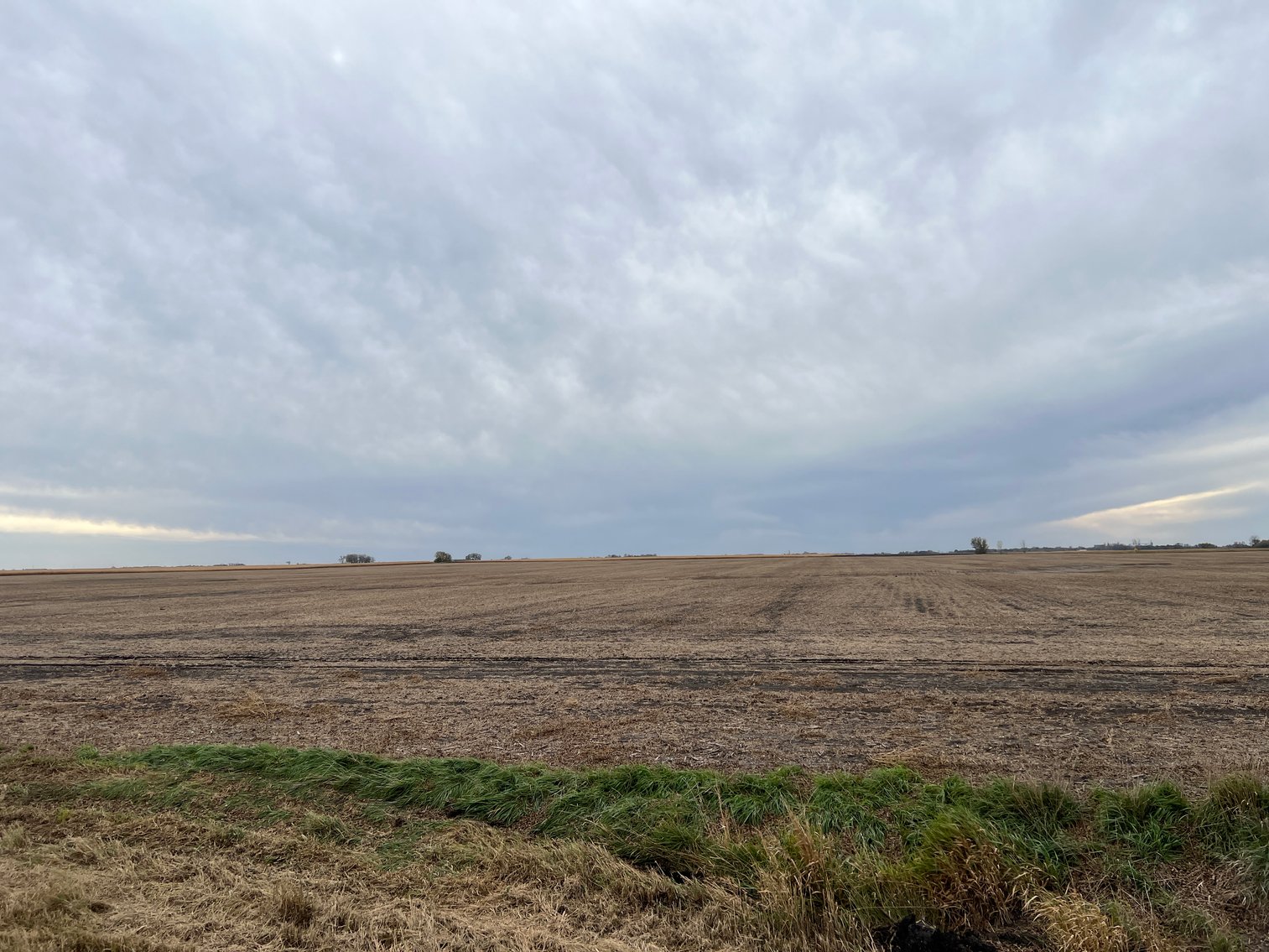 Image for ABSOLUTE Online Only Stevens County Farmland Auction