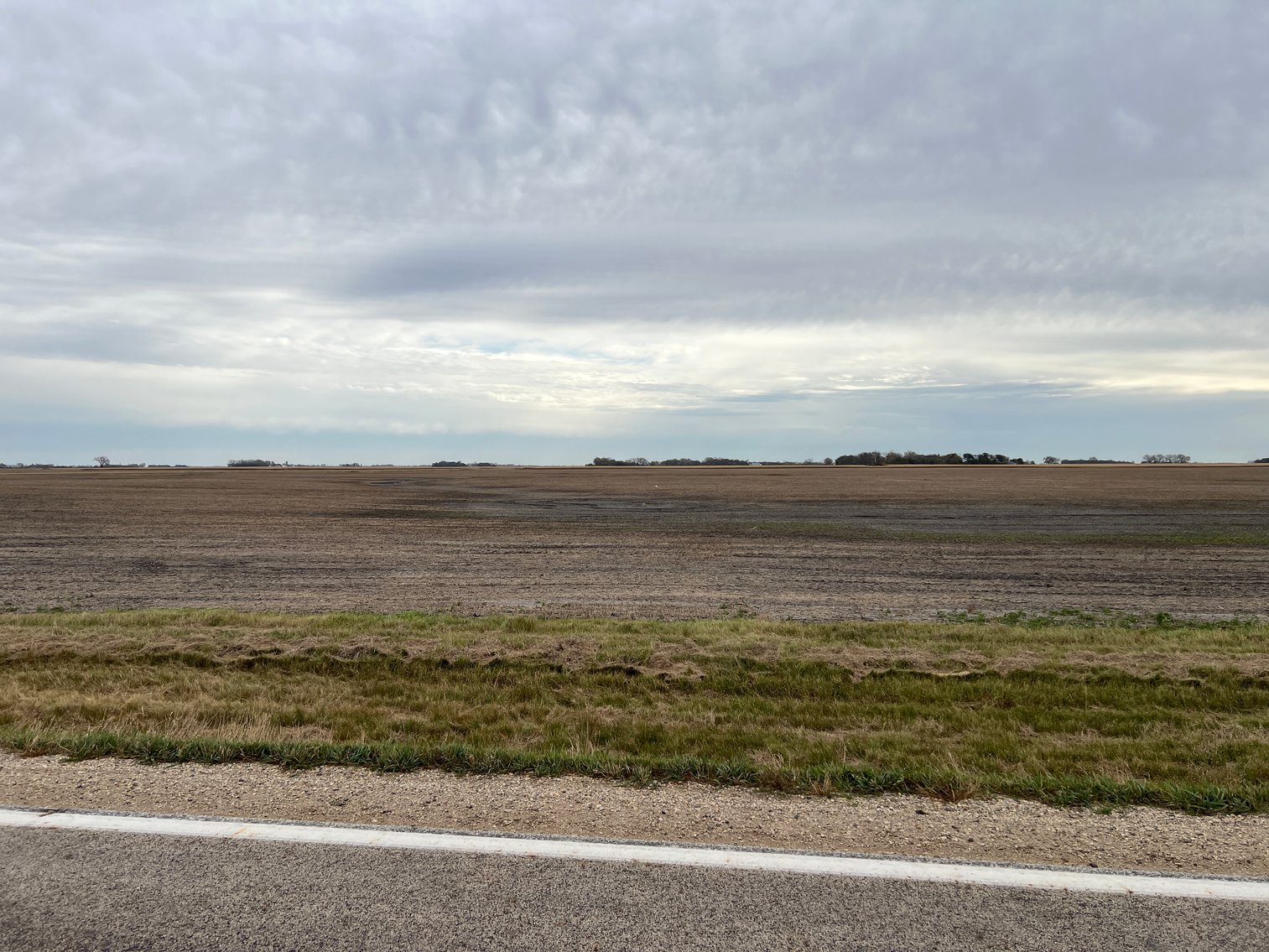 Image for ABSOLUTE Online Only Stevens County Farmland Auction