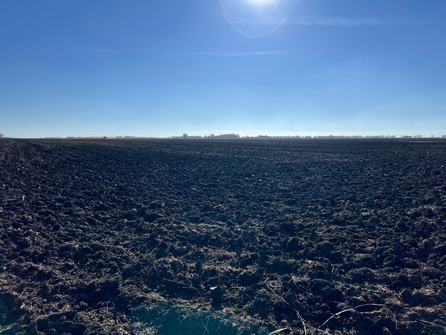 Image for ABSOLUTE Online Only Stevens County Farmland Auction