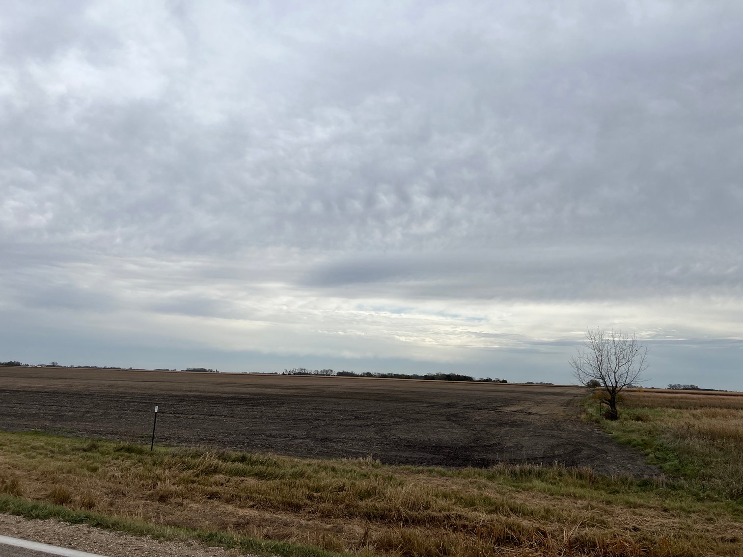 Image for ABSOLUTE Online Only Stevens County Farmland Auction