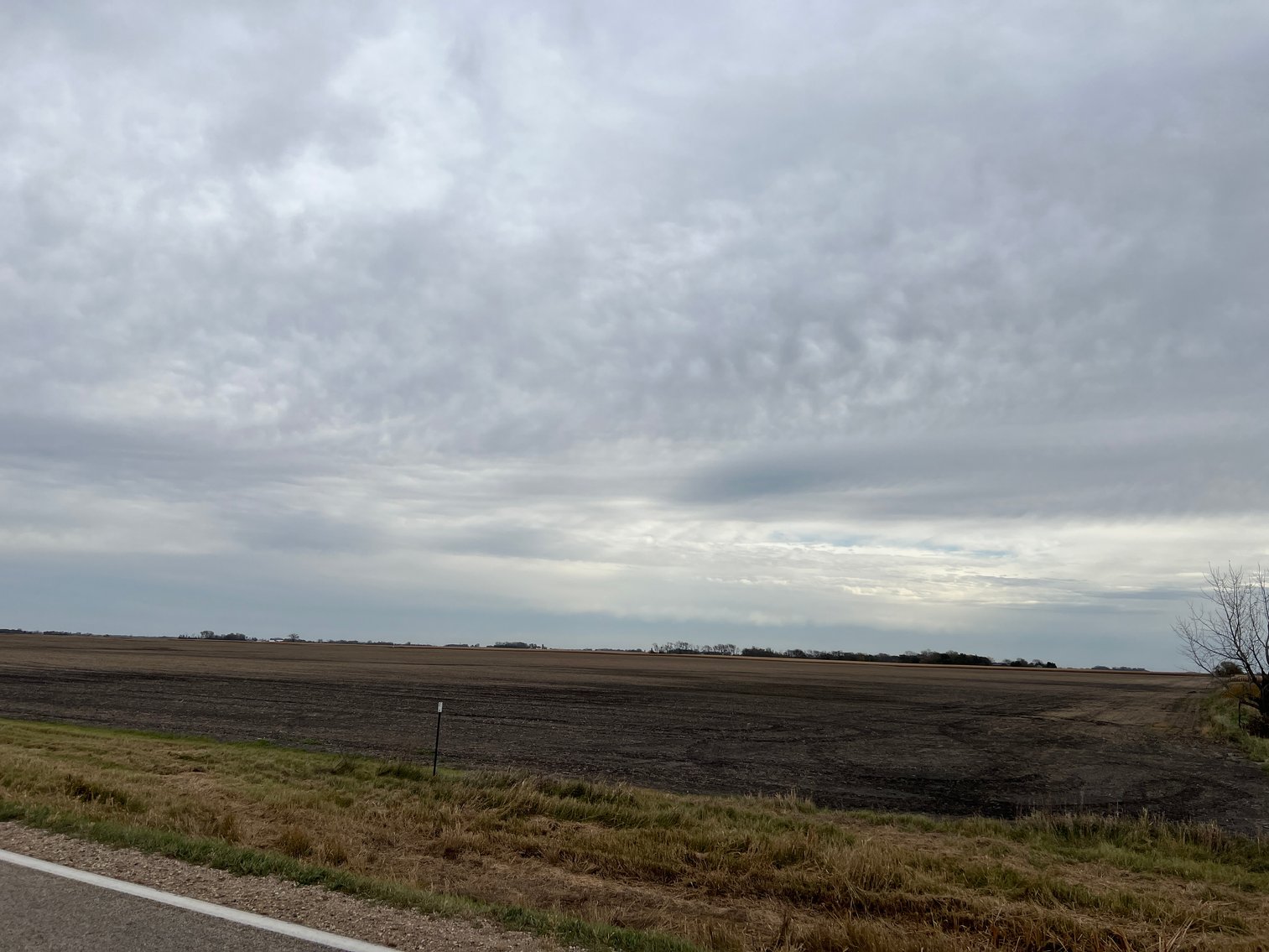 Image for ABSOLUTE Online Only Stevens County Farmland Auction