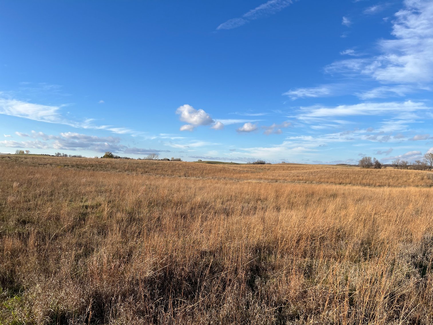 Image for Online Only Swift County Land Auction