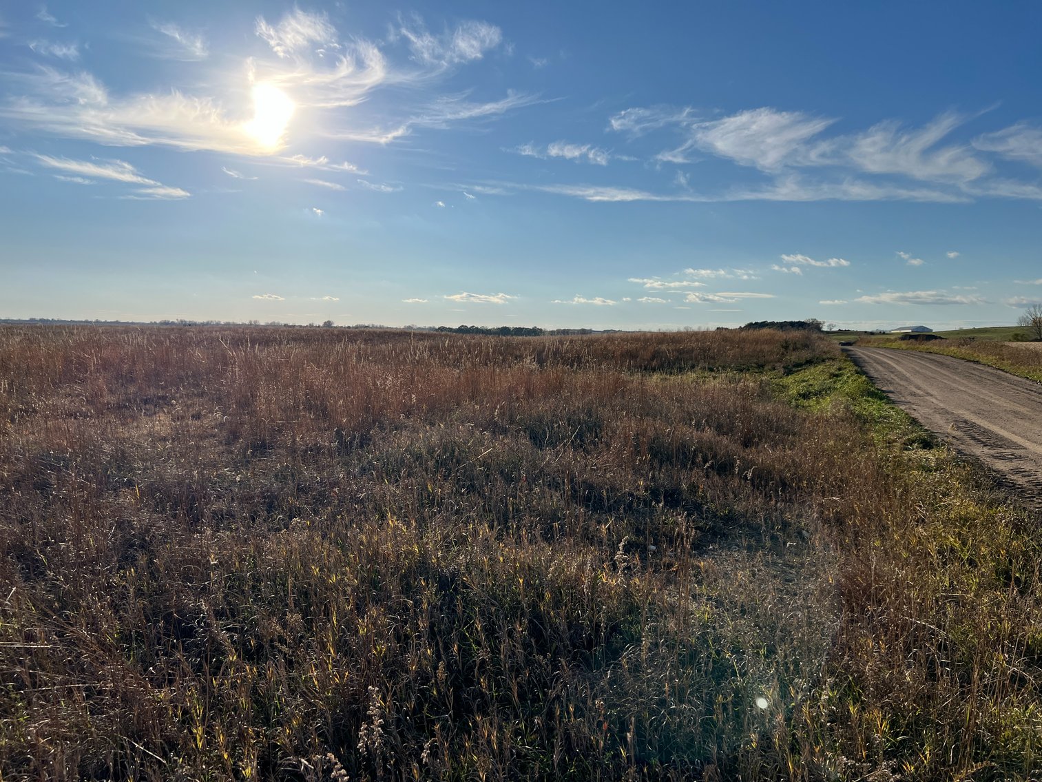 Image for Online Only Swift County Land Auction