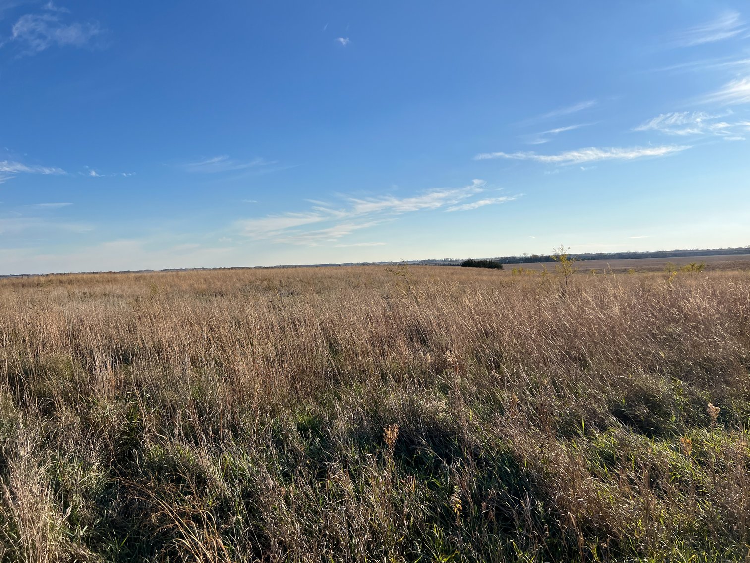 Image for Online Only Swift County Land Auction