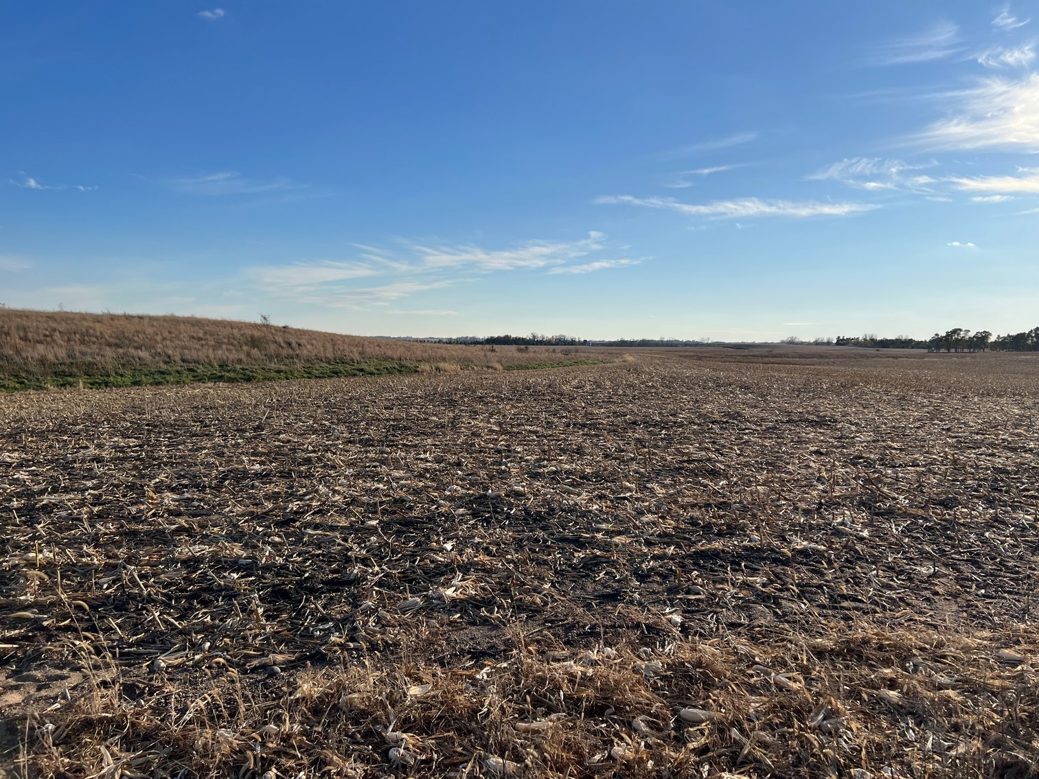 Image for Online Only Swift County Land Auction