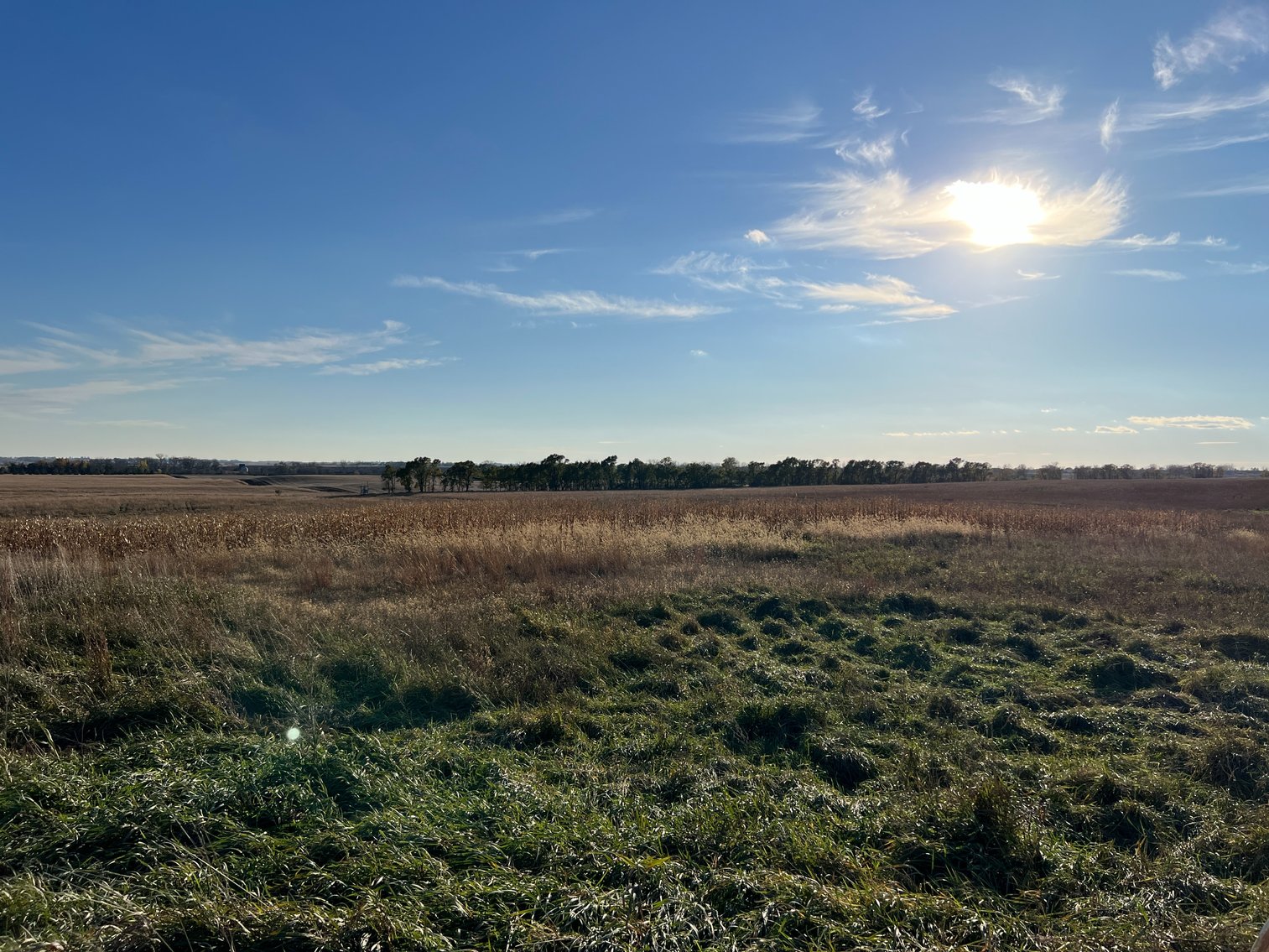 Image for Online Only Swift County Land Auction