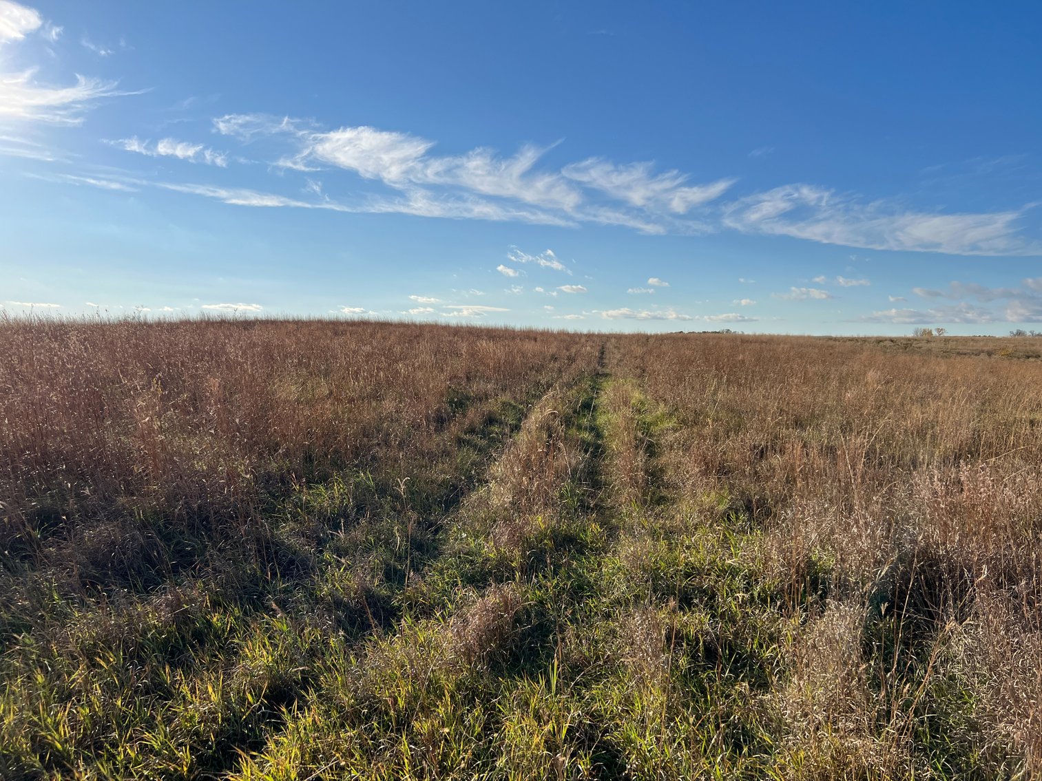 Image for Online Only Swift County Land Auction