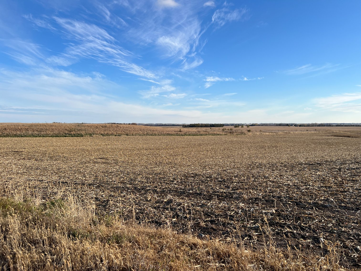 Image for Online Only Swift County Land Auction