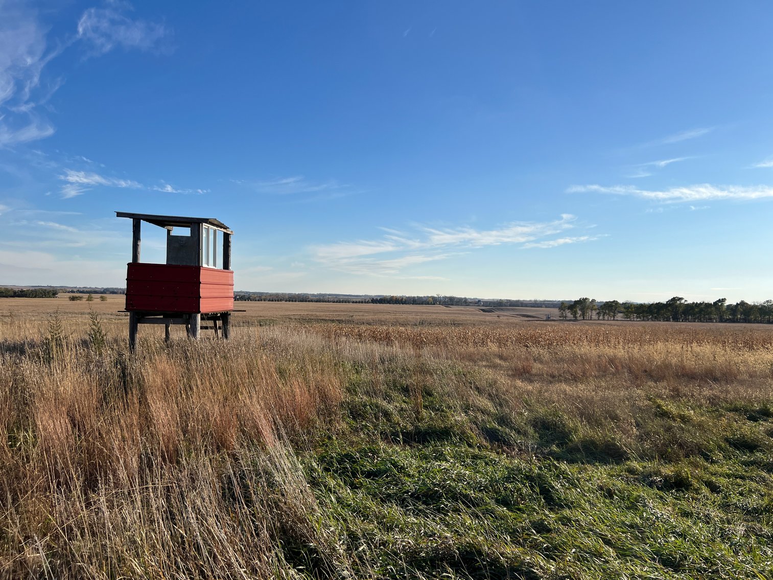 Image for Online Only Swift County Land Auction