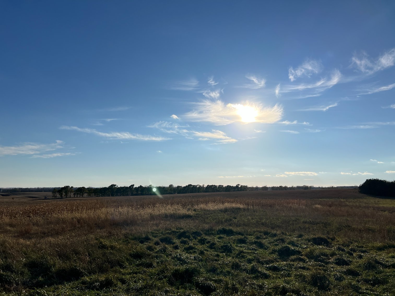 Image for Online Only Swift County Land Auction