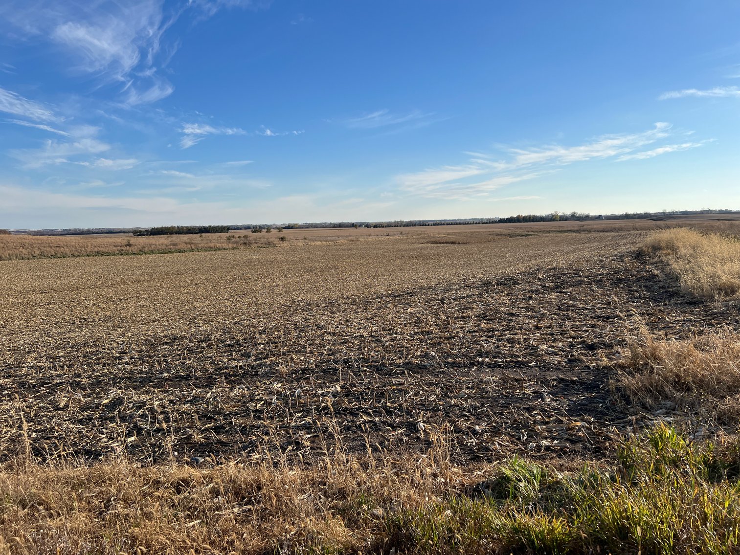 Image for Online Only Swift County Land Auction