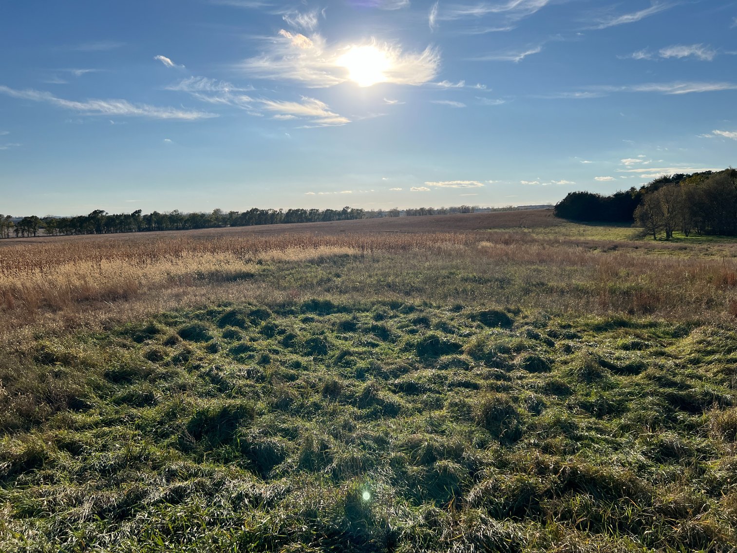 Image for Online Only Swift County Land Auction