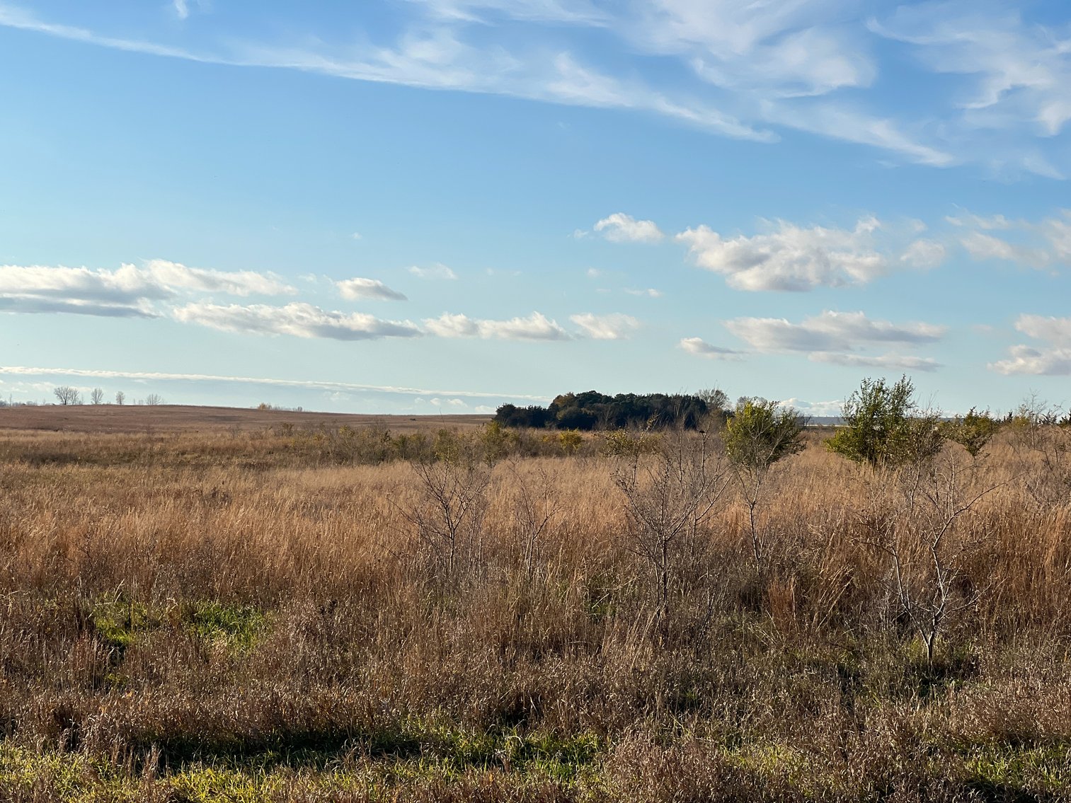 Image for Online Only Swift County Land Auction