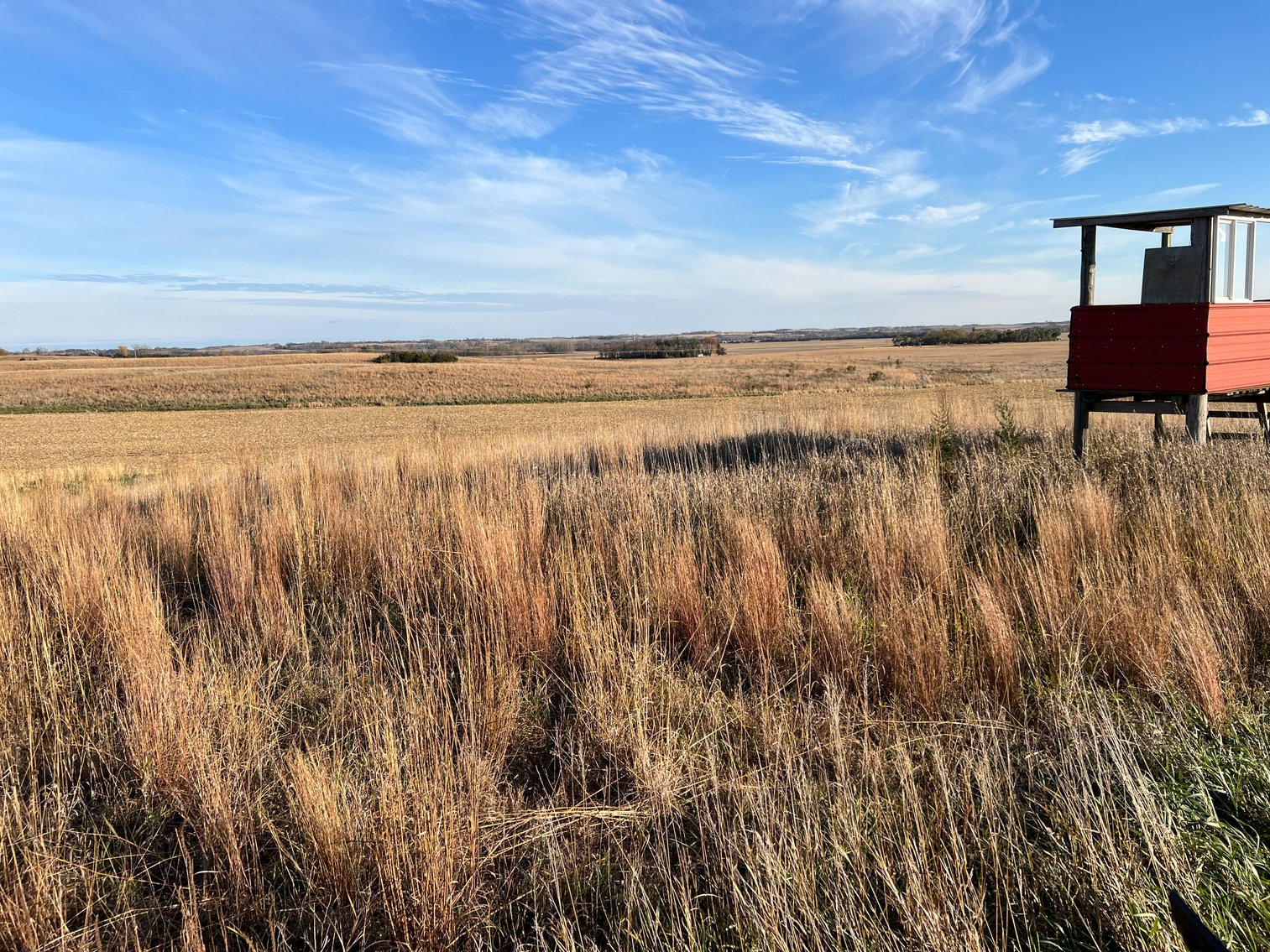 Image for Online Only Swift County Land Auction