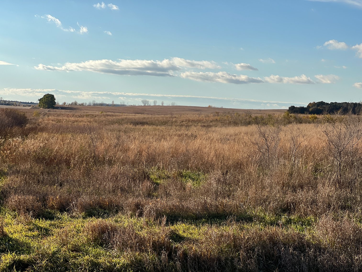 Image for Online Only Swift County Land Auction