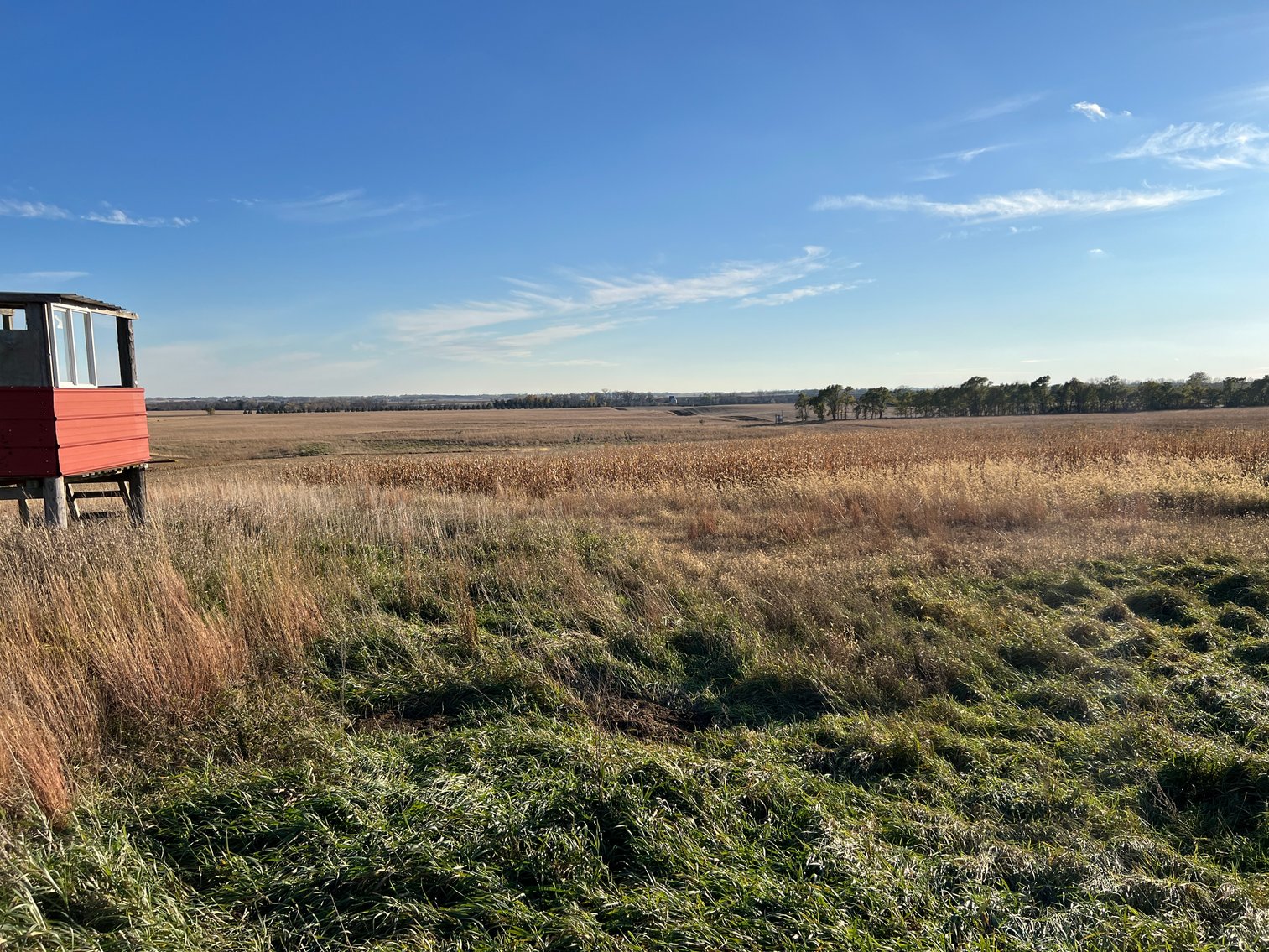 Image for Online Only Swift County Land Auction