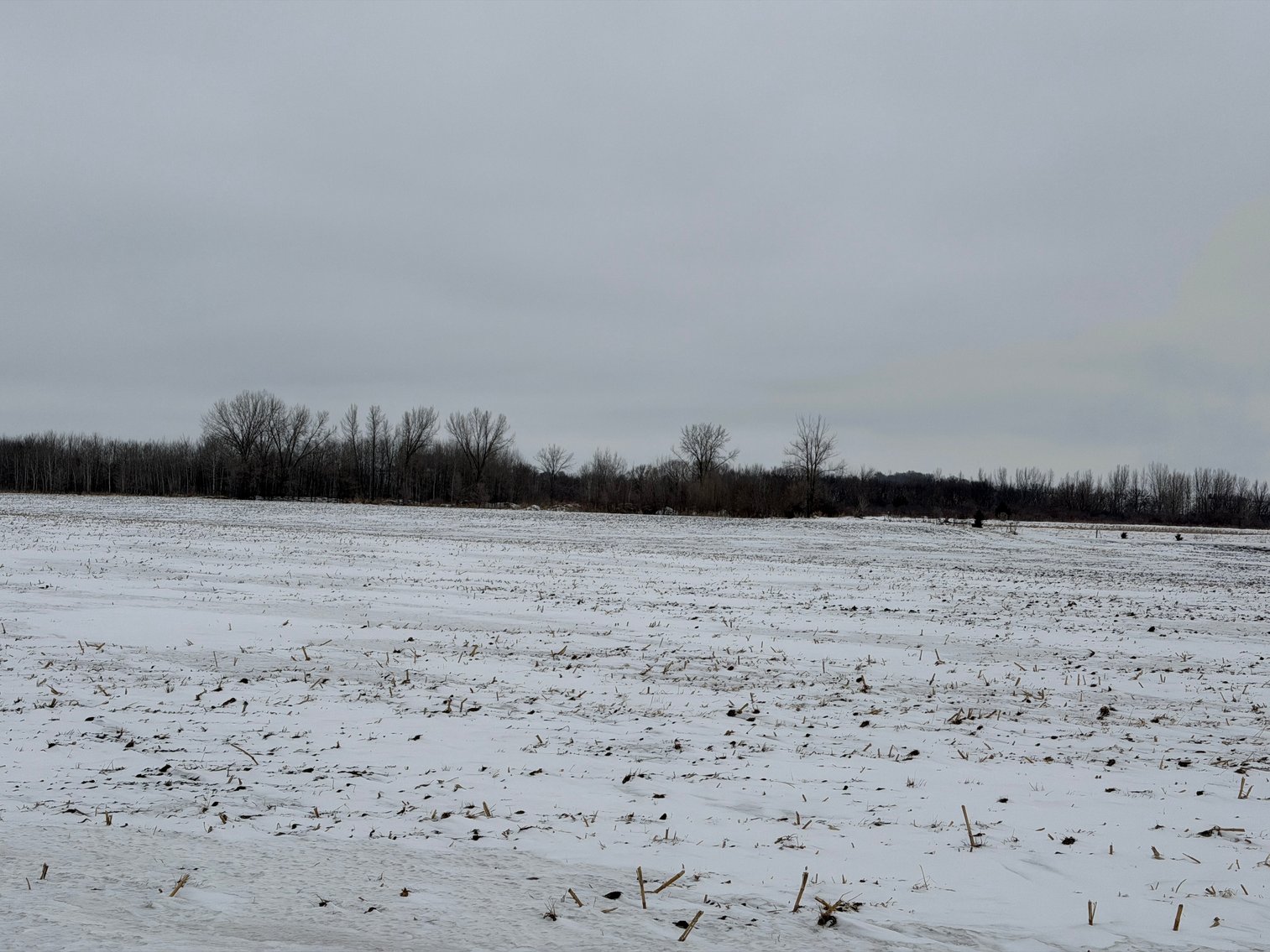 Image for Stearns County Lake George Township Online Only Land Auction