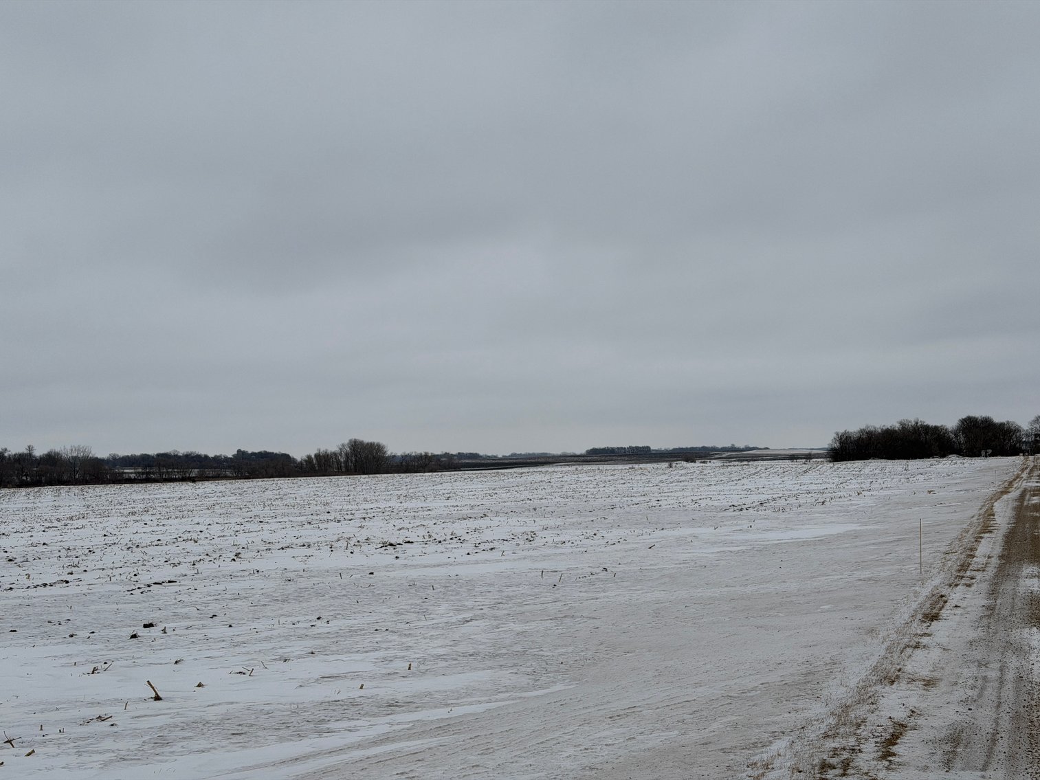 Image for Stearns County Lake George Township Online Only Land Auction