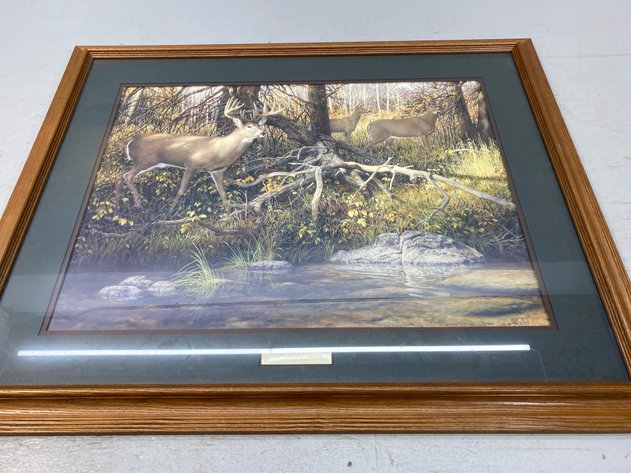 Image for WILDLIFE PICTURE