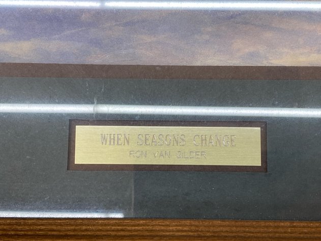 Image for WILDLIFE PICTURE