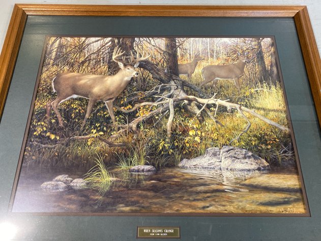 Image for WILDLIFE PICTURE