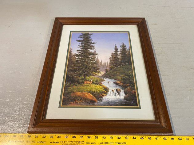 Image for WHITETAIL PRINT