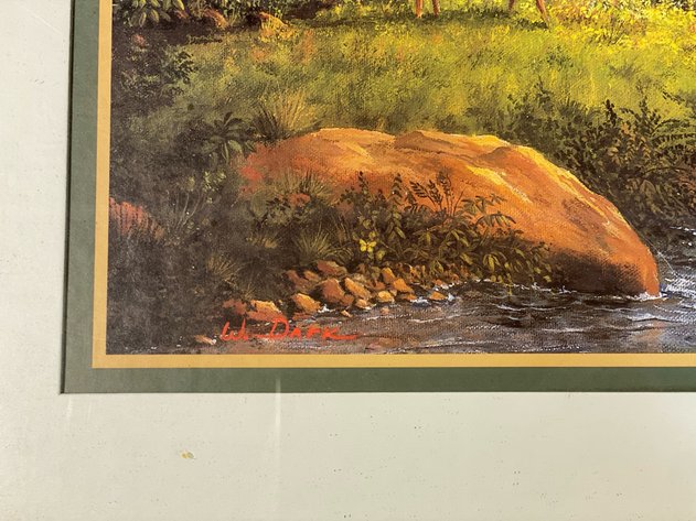 Image for WHITETAIL PRINT