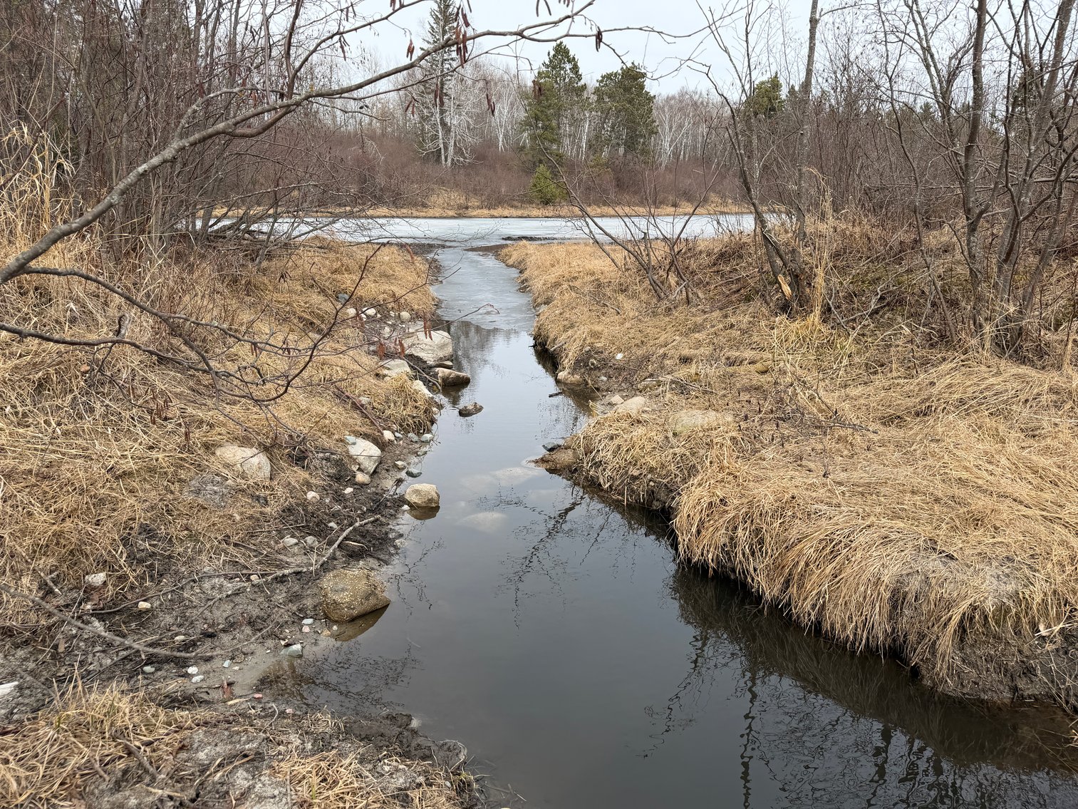Image for Hunting/Recreation Land Hubbard County MN Online Only Auction