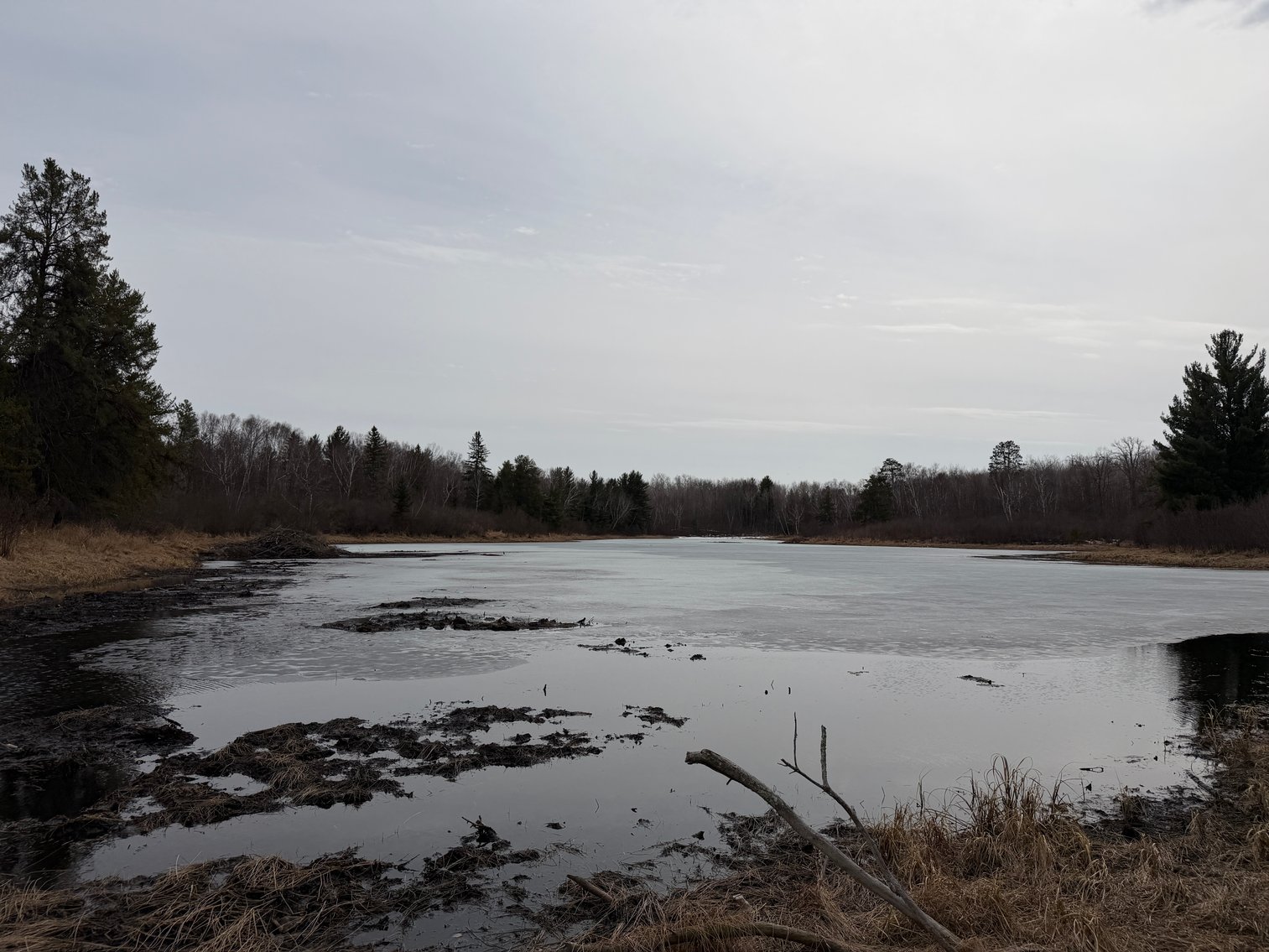 Image for Hunting/Recreation Land Hubbard County MN Online Only Auction