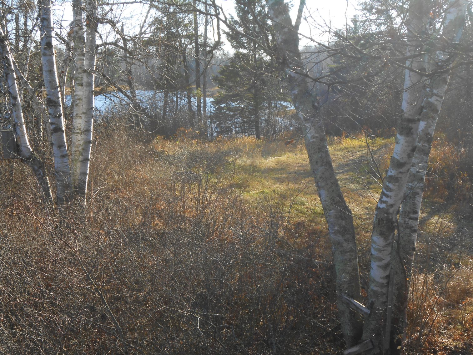 Image for Hunting/Recreation Land Hubbard County MN Online Only Auction