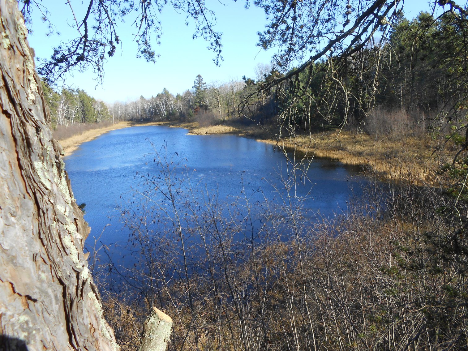 Image for Hunting/Recreation Land Hubbard County MN Online Only Auction