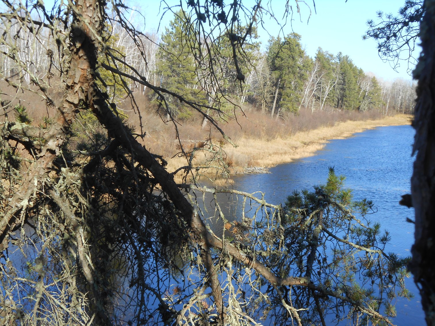 Image for Hunting/Recreation Land Hubbard County MN Online Only Auction