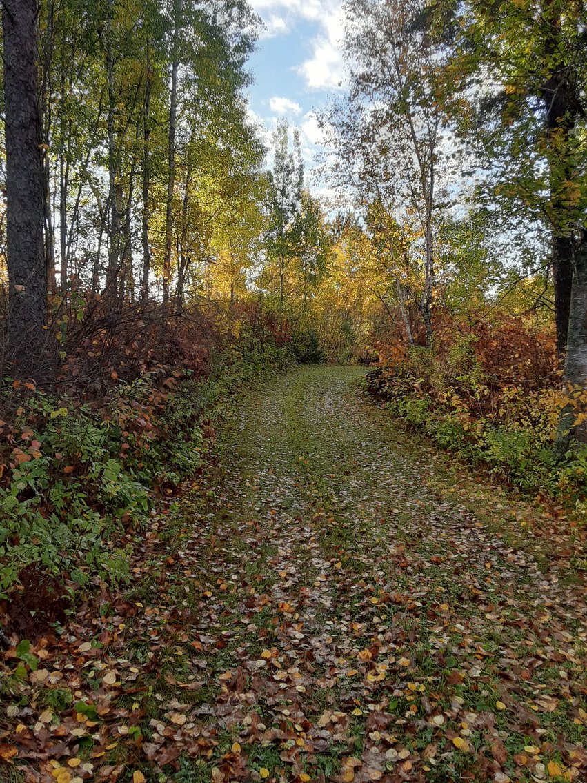 Image for Hunting/Recreation Land Hubbard County MN Online Only Auction