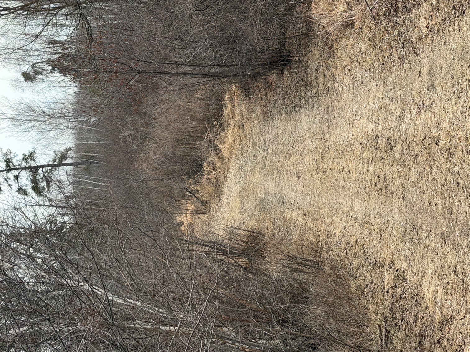 Image for Hunting/Recreation Land Hubbard County MN Online Only Auction