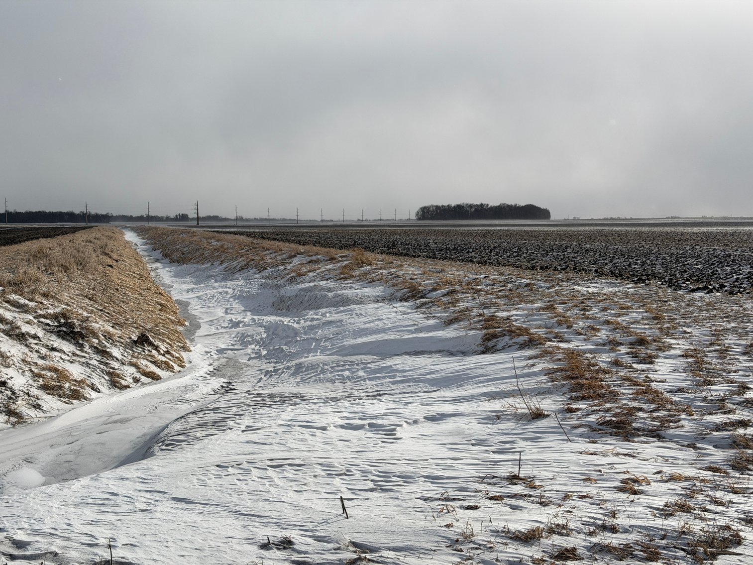 Image for Lac Qui Parle County Land & Building Site Online Only Auction