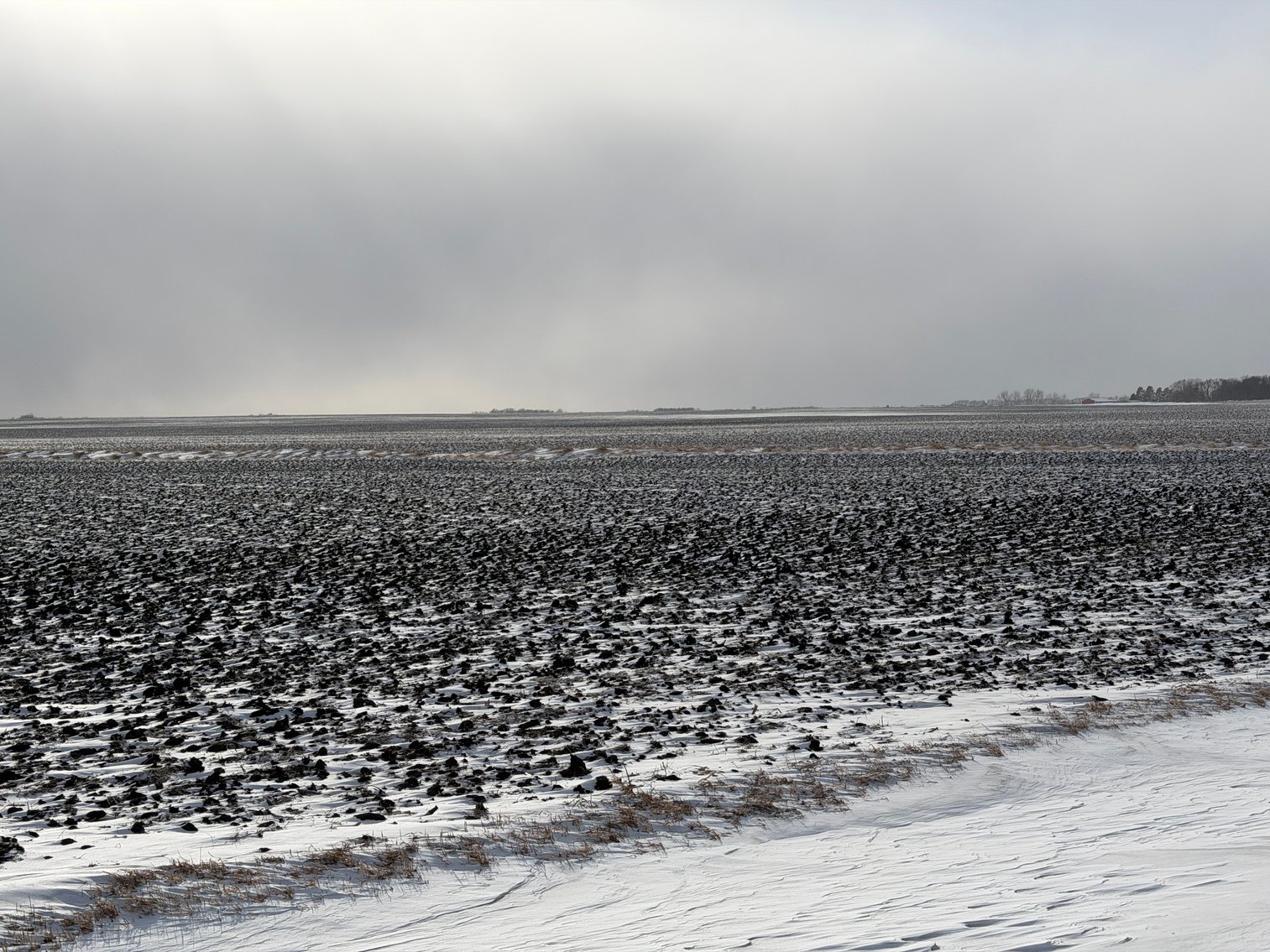 Image for Lac Qui Parle County Land & Building Site Online Only Auction