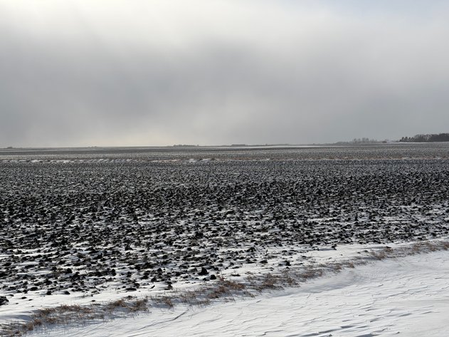 Image for Lac Qui Parle County Land & Building Site Online Only Auction