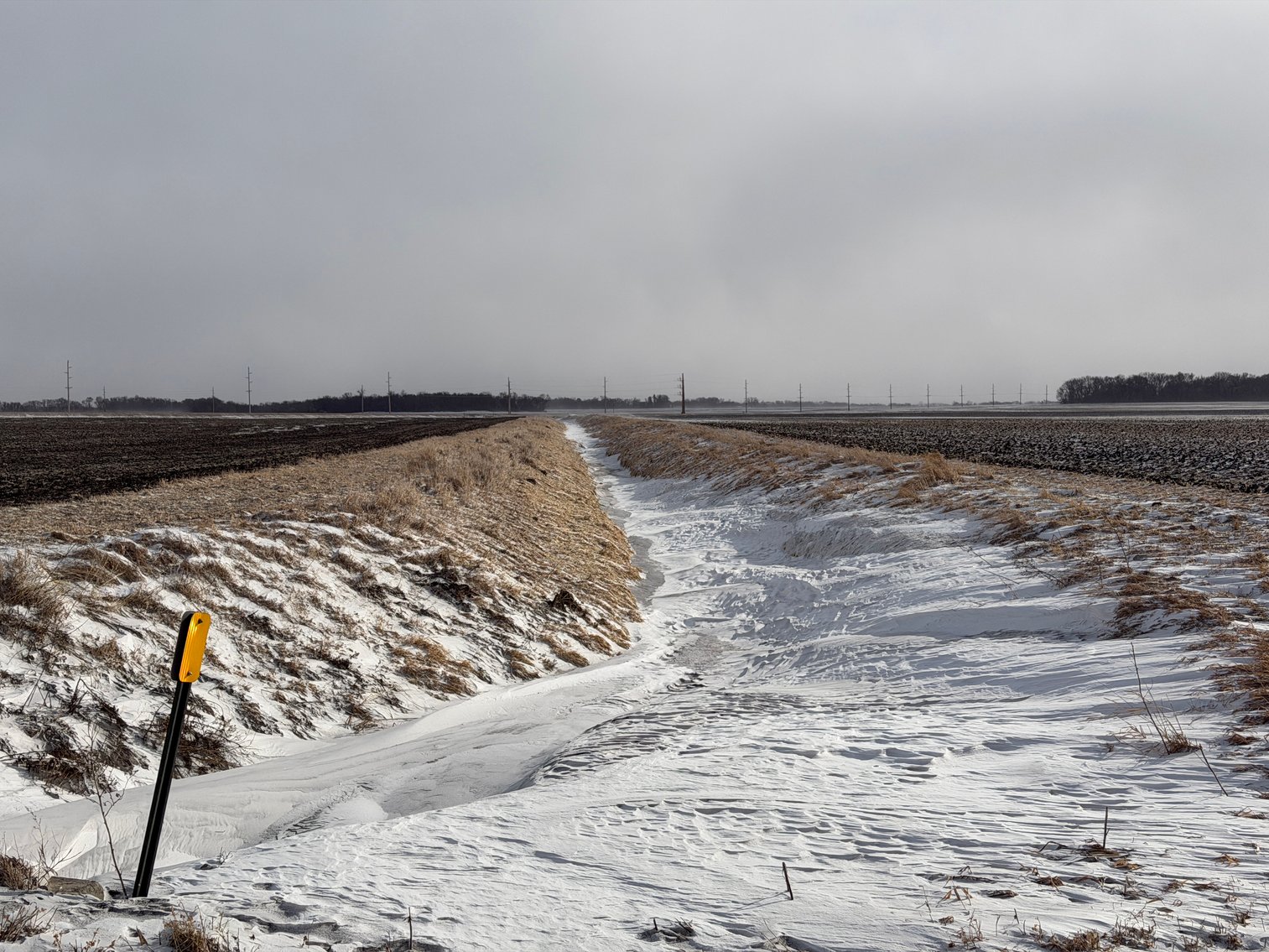 Image for Lac Qui Parle County Land & Building Site Online Only Auction