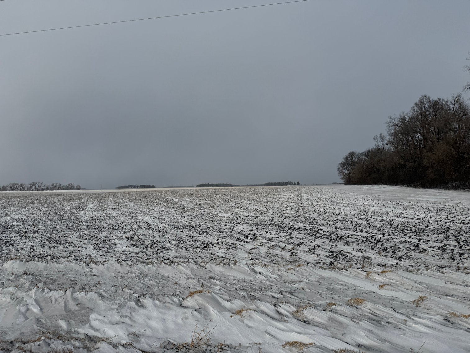 Image for Lac Qui Parle County Land & Building Site Online Only Auction