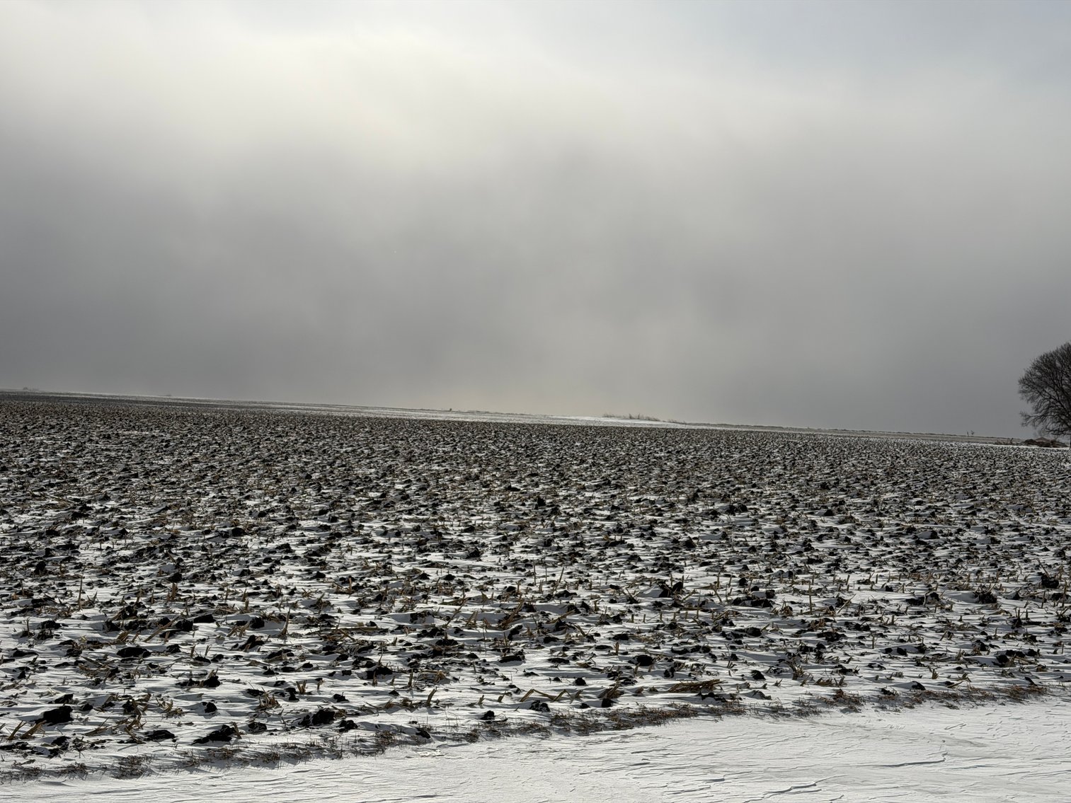 Image for Lac Qui Parle County Land & Building Site Online Only Auction