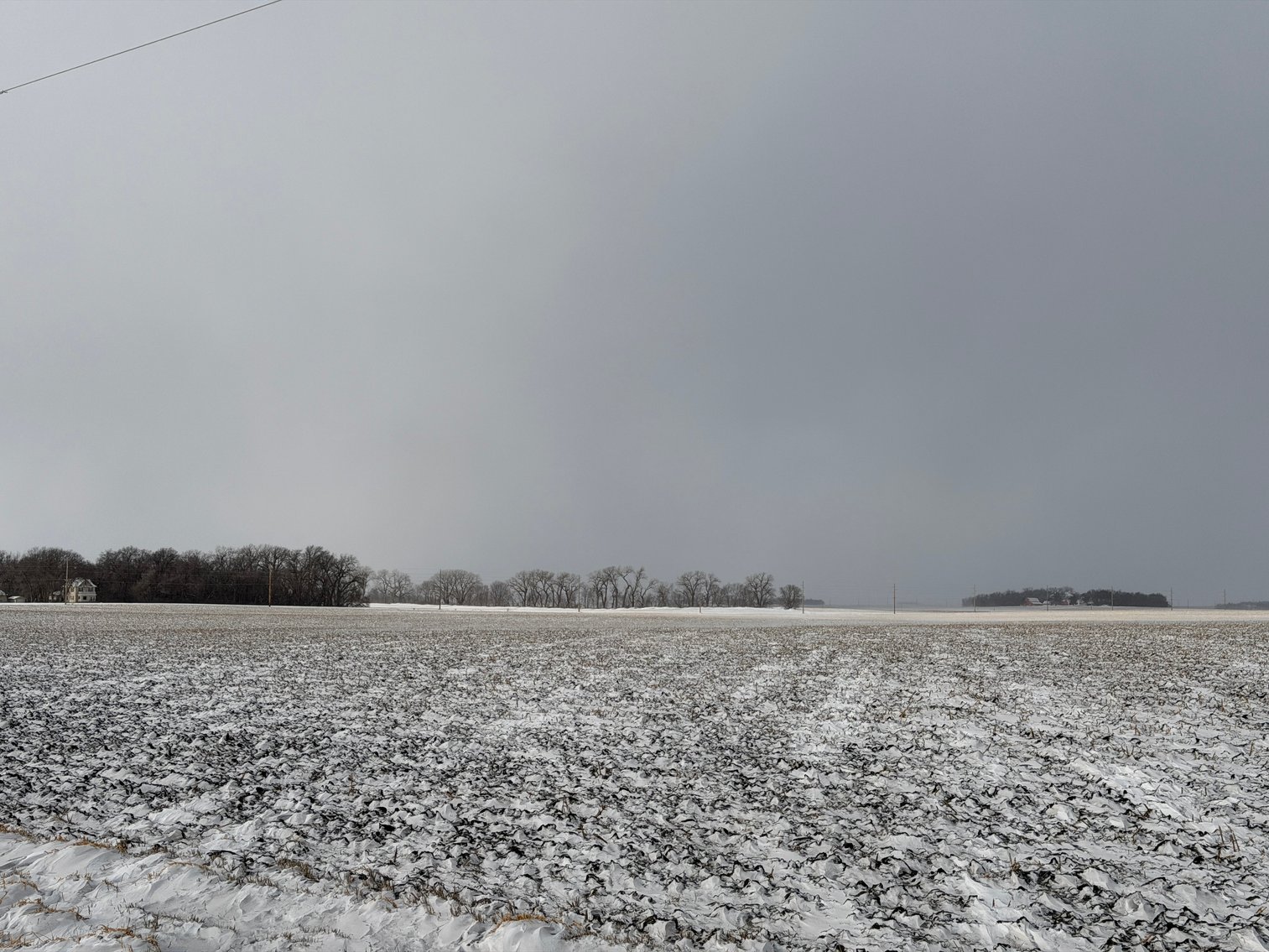 Image for Lac Qui Parle County Land & Building Site Online Only Auction
