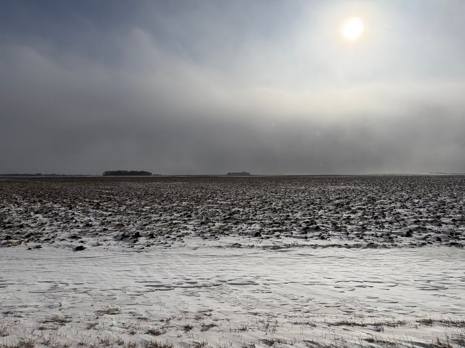 Image for Lac Qui Parle County Land & Building Site Online Only Auction