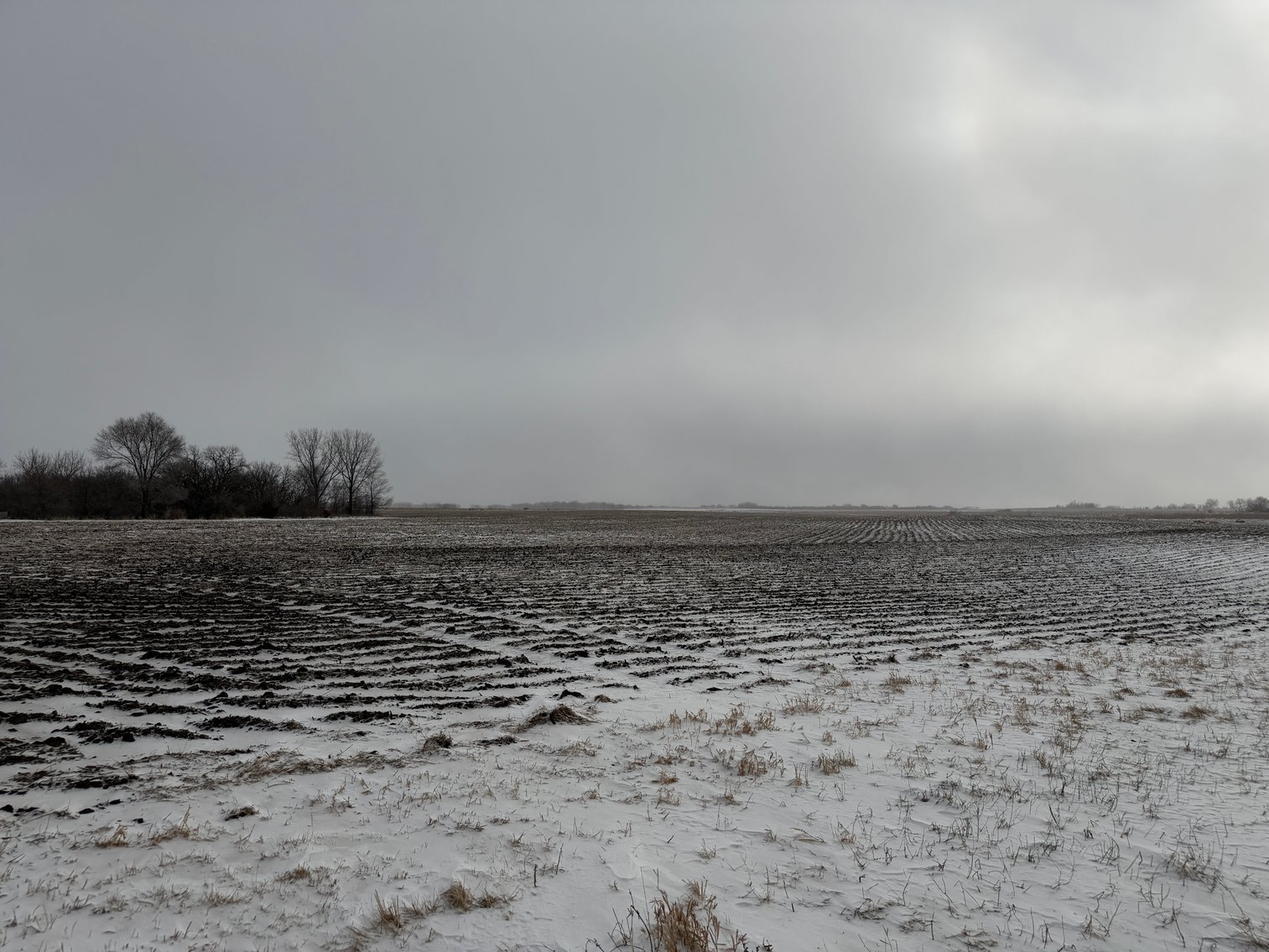 Image for Lac Qui Parle County Land & Building Site Online Only Auction